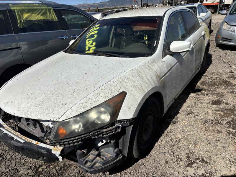 2010 HONDA Accord