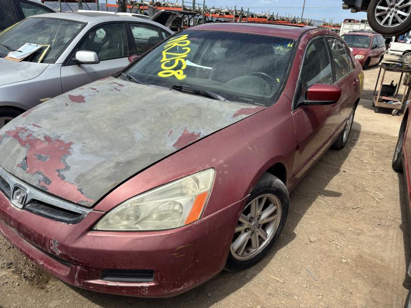 2007 HONDA Accord