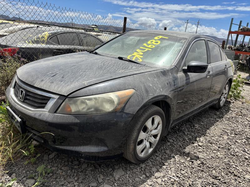 2009 HONDA Accord